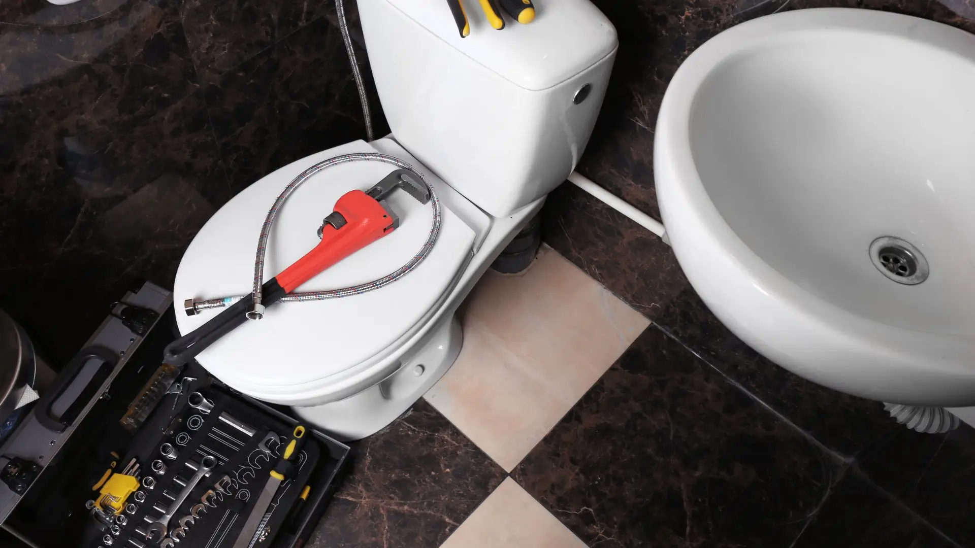 What to do when toilet is blocked—blocked toilet plumber Brisbane
