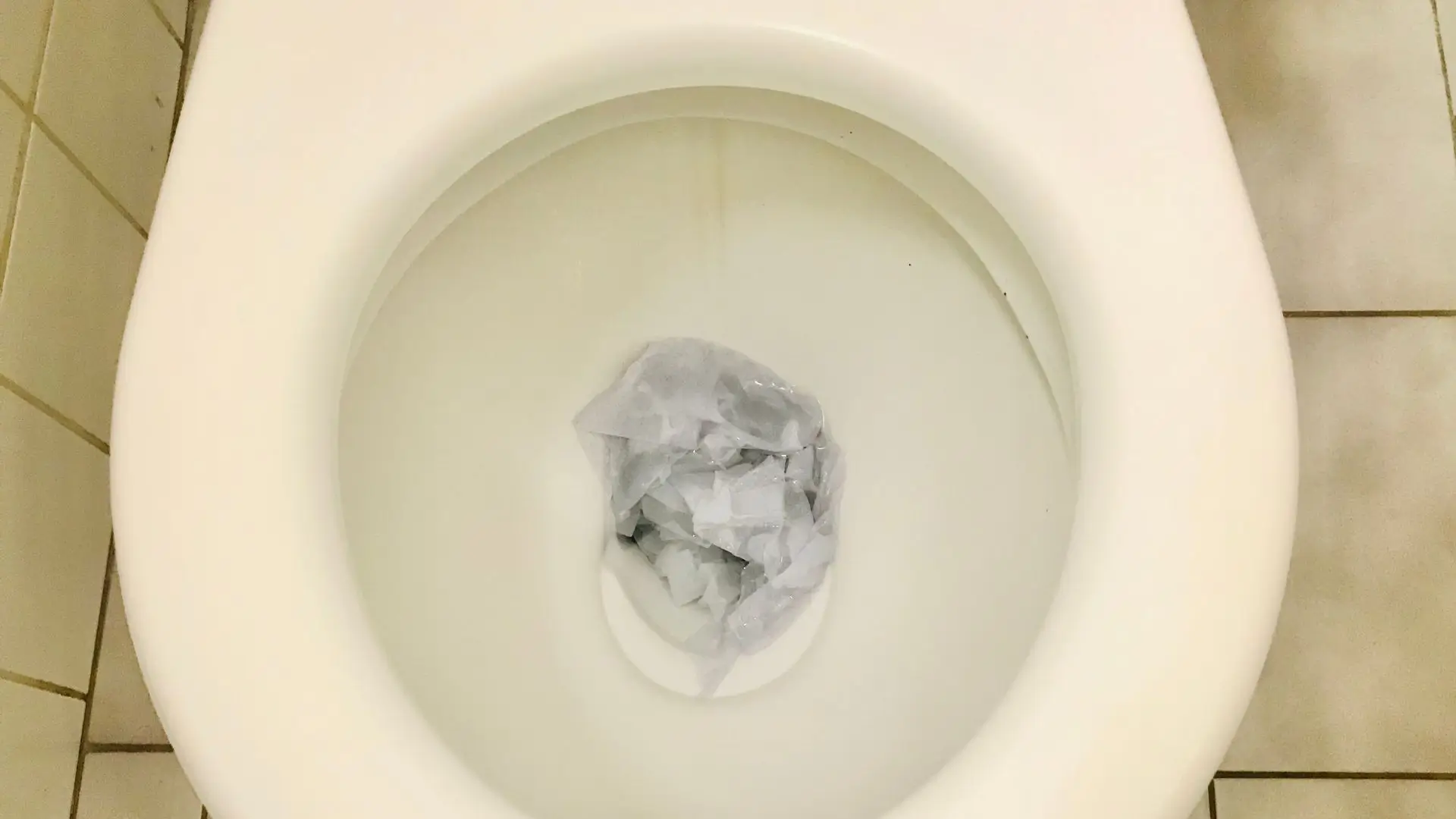 Preventing future toilet blockages—blocked toilet plumber Brisbane